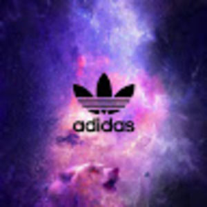 Meet your Posher, Julius